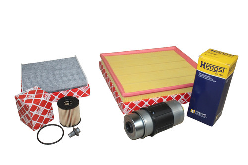 Kit revisione diesel ford - revisione,