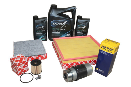 Kit revisione diesel ford - revisione,
