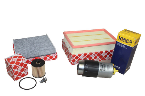 Kit revisione diesel ford - revisione,